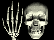 Posted Image